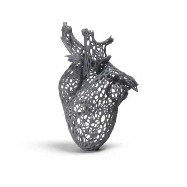 SLA 3D tisk modelu lidského srdce